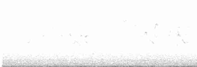 American Tree Sparrow - ML519694721
