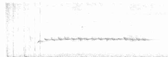 Long-billed Gnatwren - ML519704151