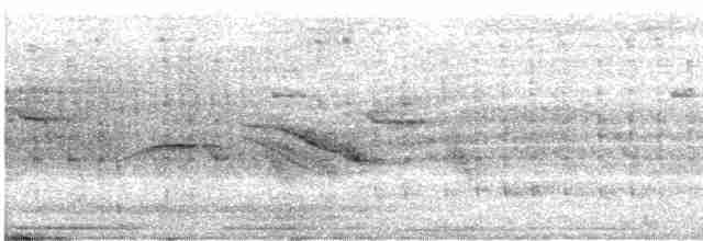 Tel Kuyruklu Çölyıldızı - ML519706291