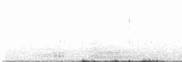 Большая белая цапля - ML519715051