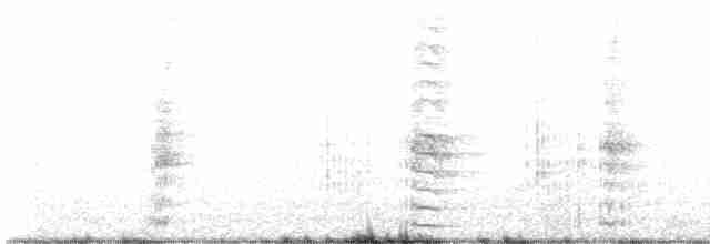 Common Gallinule - ML519715411