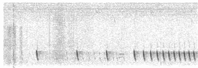 Indiennachtschwalbe - ML51972801