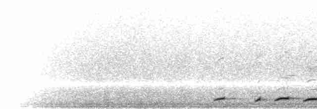  - Ruddy Pigeon (Berlepsch's)