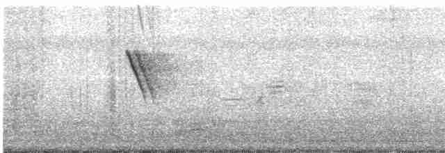 Kupfernektarvogel - ML519736671
