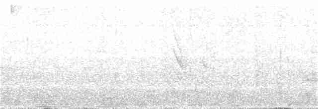 Белая агуйла - ML51975281