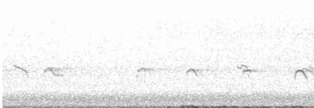 Little Ringed Plover - ML519835301