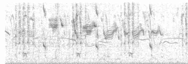 Пестроголовая чубатка (usambiro) - ML519858581