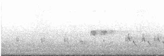 Australian Reed Warbler - ML519907441