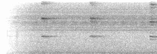 Troglodyte de Nava - ML519912221