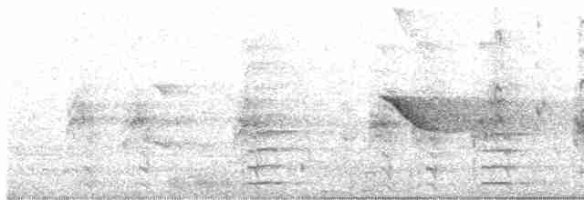 Віялохвістка сиза - ML520025841