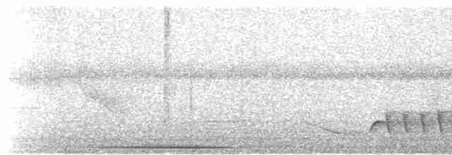 holub šedočelý - ML520039211