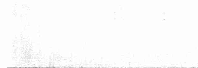 Бекард іржастий - ML520062201