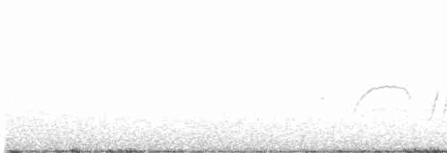 White-eyed Vireo - ML520067261