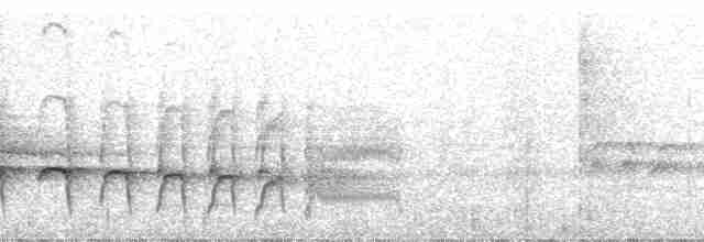 Мурав’янка-прудкокрил рондонійська - ML52009
