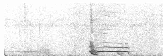 Лофур сіамський - ML520116151