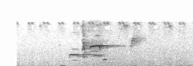 Вагабунда сіровола - ML520123361