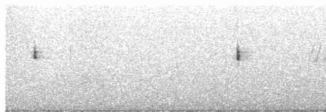 棕眉柳鶯 - ML520123561