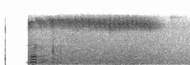 Rostbürzel-Ameisenfänger - ML520135571