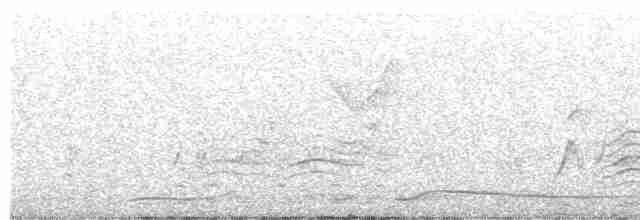 Bulbul aux yeux gris - ML520141121