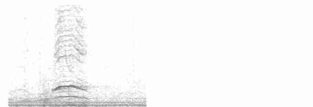 Синалойская ворона - ML520148291