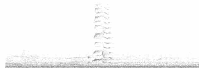 Синалойская ворона - ML520148301