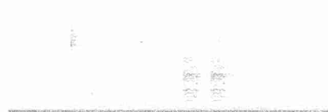 purpurryggskrike - ML520149711