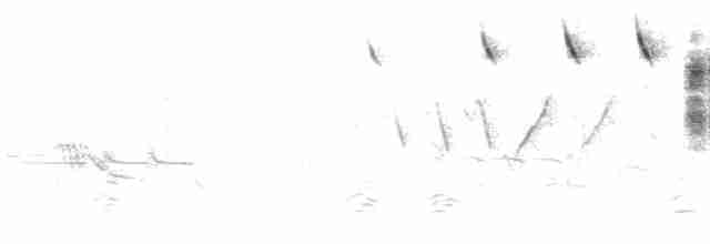 Саванная овсянка - ML520168531