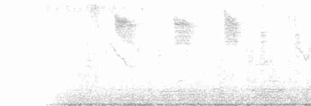 Bewick Çıtkuşu - ML520183371