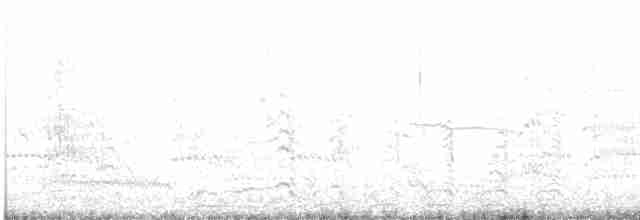 Van Gölü Martısı - ML520199131