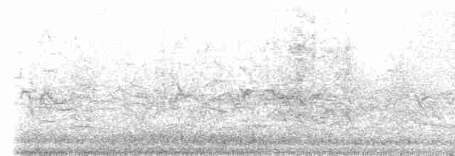 Loriquet arc-en-ciel - ML520200441