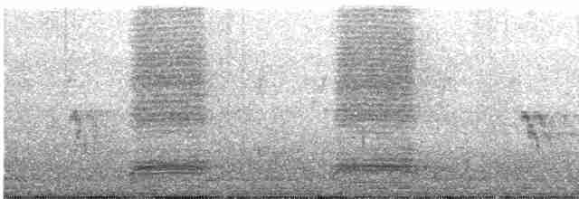 vrána černobílá - ML520205301