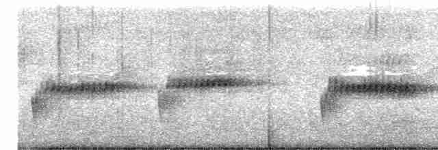 Kara Gerdanlı Terzikuşu - ML520206351