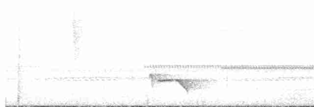Серогрудый крапивник - ML520241901