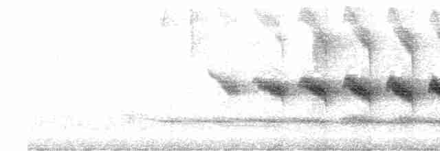 Benek Gerdanlı Karıncaavcısı - ML520247231