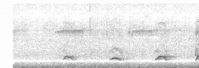Декол плямистоволий - ML520247371