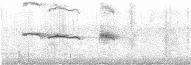 鳳頭燕鷗 - ML520249801