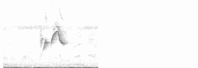 Turuncu Başlıklı Öfonya - ML520252171