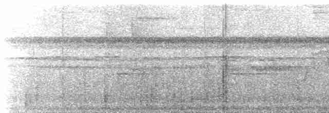 Лінивка-смугохвіст панамська - ML520253341