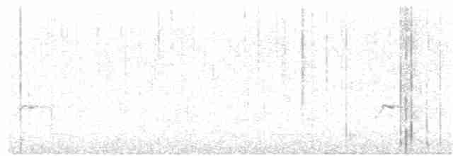 Серогрудая дриада - ML52025611