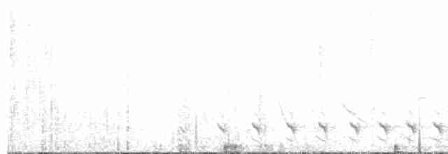 Bar-crested Antshrike - ML520258901