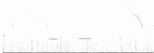 Striped Cuckoo - ML520259751