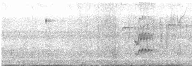 Короткохохлый миарх - ML520293111