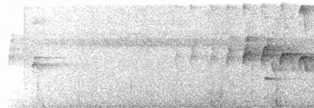 volavčík člunozobý [skupina zeledoni] - ML520299931
