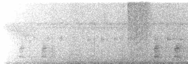 volavčík člunozobý [skupina zeledoni] - ML520299941