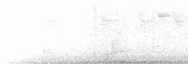 Aratinga de Pinceles - ML520350331
