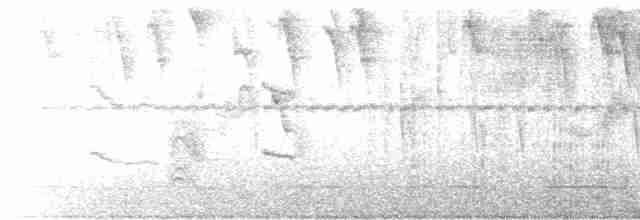 Риджвея сивоголова - ML520356361
