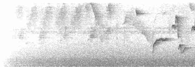 Риджвея сивоголова - ML520356371