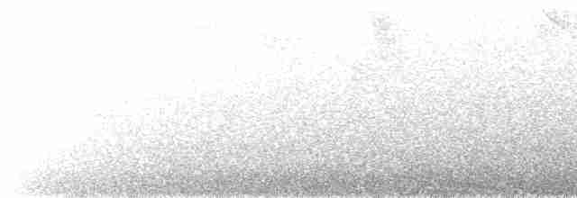 Paruline à croupion fauve - ML520356401