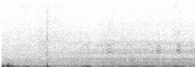Серобрюхая чайка - ML520373081