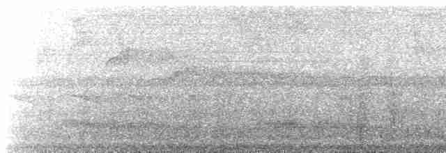 Kestane Sırtlı Karıncakuşu - ML520381941